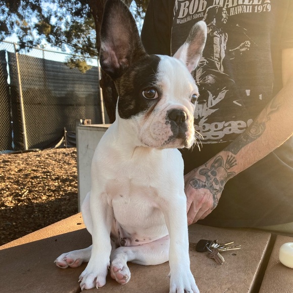 Meet your Posher, Carly - Picture 1 of 1